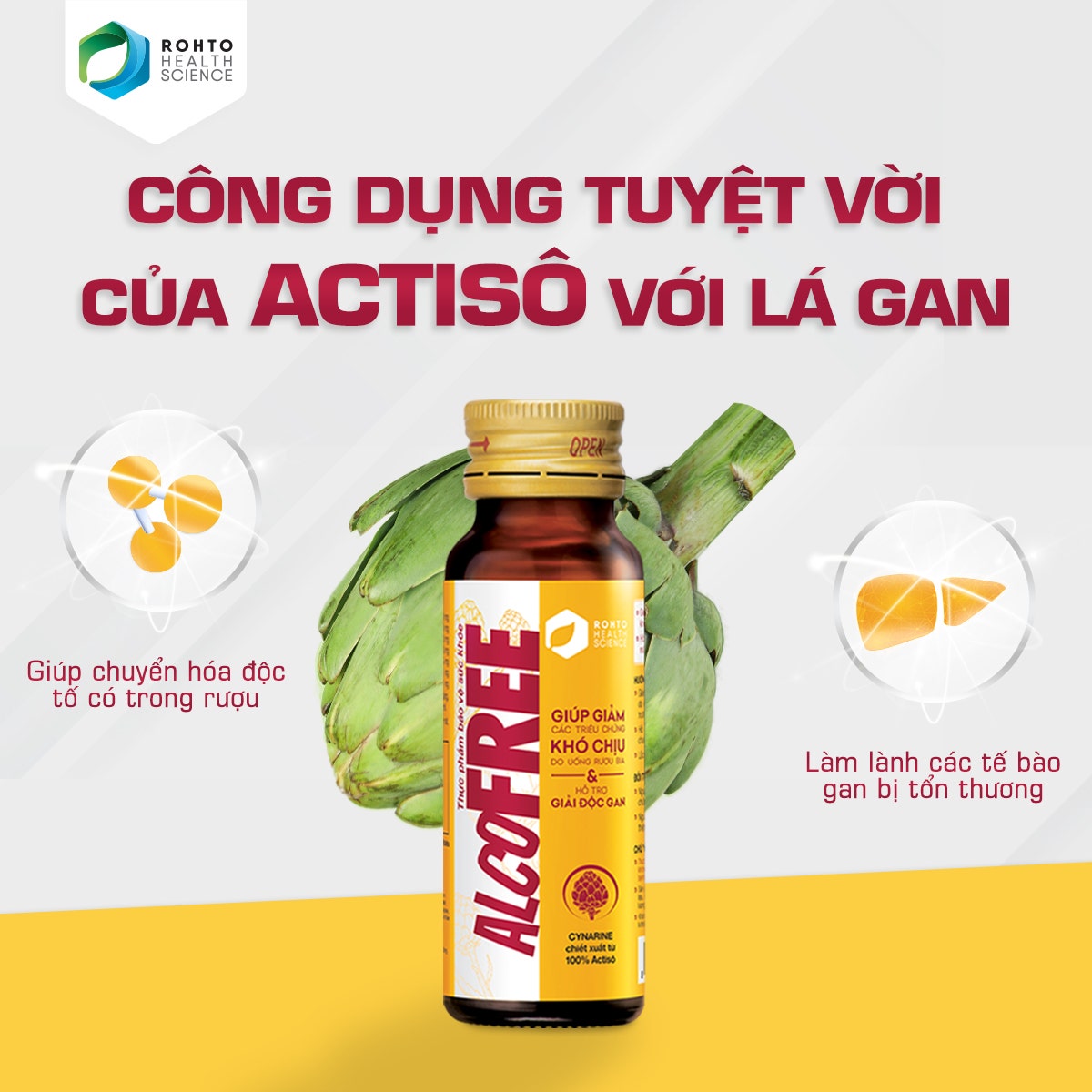 Alcofree chứa Cynarine chiết xuất từ 100% Actisô tươi giúp chuyển hóa độc tố có trong rượu bia, làm lành các tế bào gan bị tổn thương